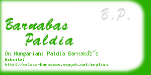 barnabas paldia business card